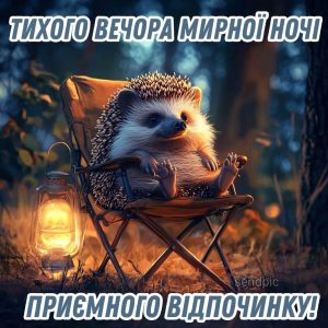 Тихого вечора мирної ночі приємного відпочинку!