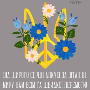 Від щирого серця дякую за вітання. Миру нам всім та швидкої перемоги!